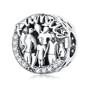 Σύμβολο Silver Me Family bead για Βραχιόλι από Ασήμι 925 με Ζιρκόν ΑΒΡ0958